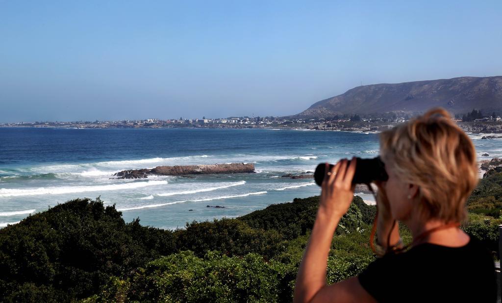 Hermanus Beach Villa ภายนอก รูปภาพ