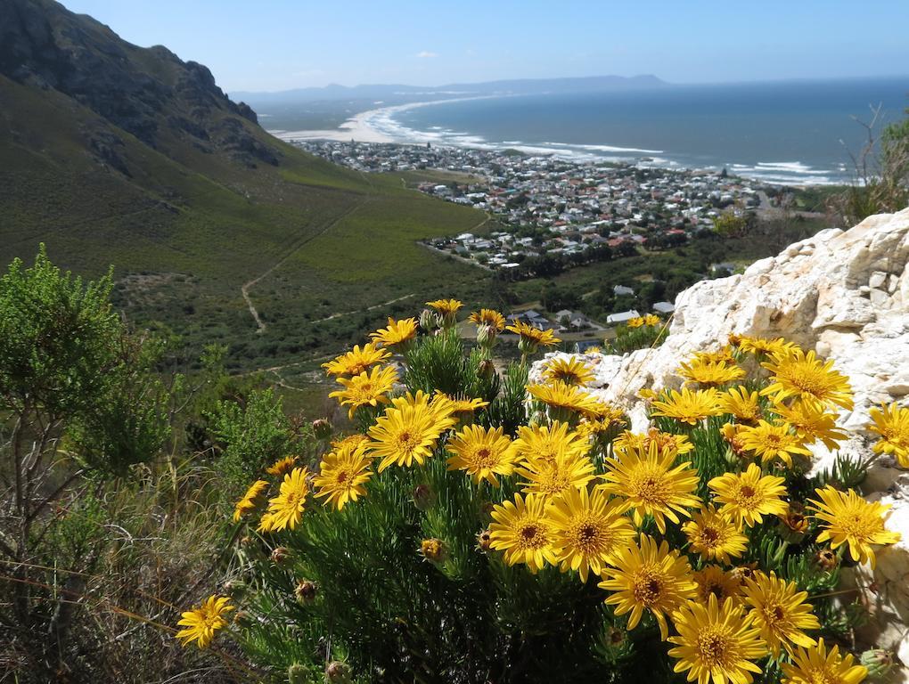 Hermanus Beach Villa ภายนอก รูปภาพ